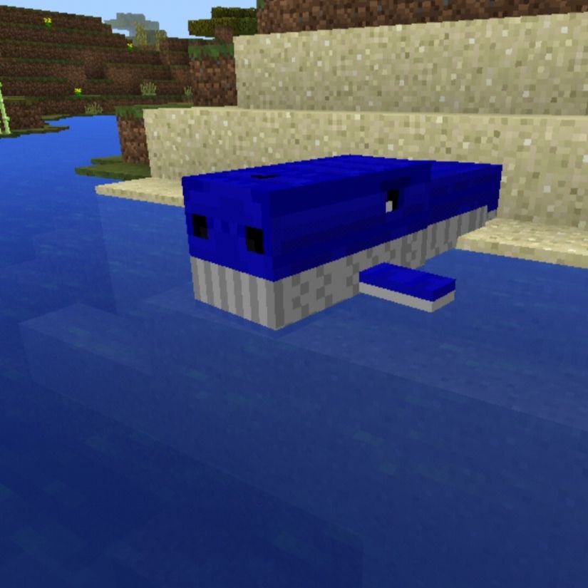 Download the Whale Mod for Minecraft PE - Whale Mod for Minecraft PE