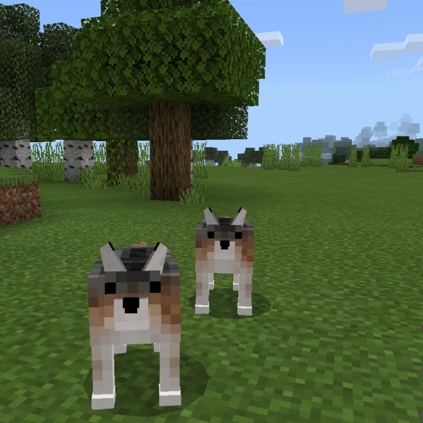 Download Dog Textures for Minecraft PE - Dog Textures for Minecraft PE