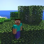 Zebra Shaders for Minecraft PE